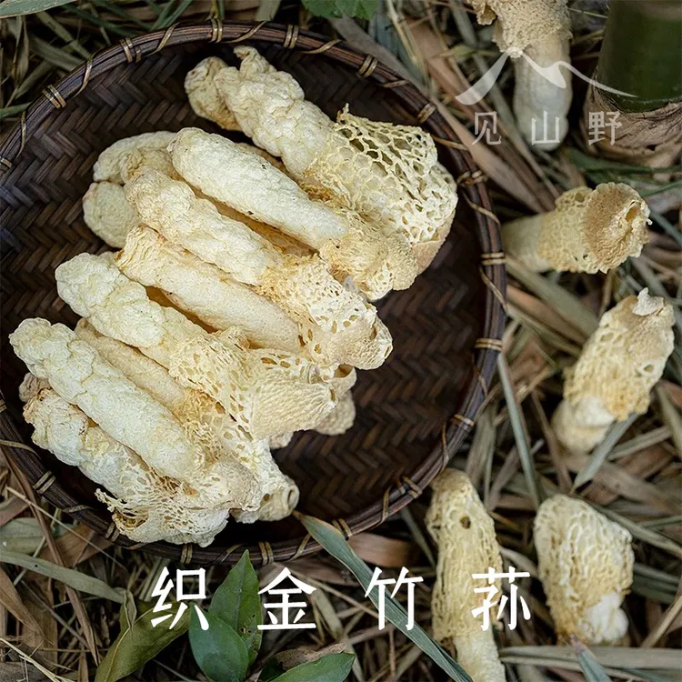 【露思同款】贵州竹荪干货织金红托竹荪煲汤食材竹笙无熏硫无肥皂味