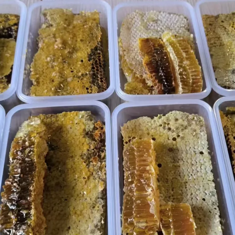 蜂蜜蜂制品饮品青岭北山土巢蜜