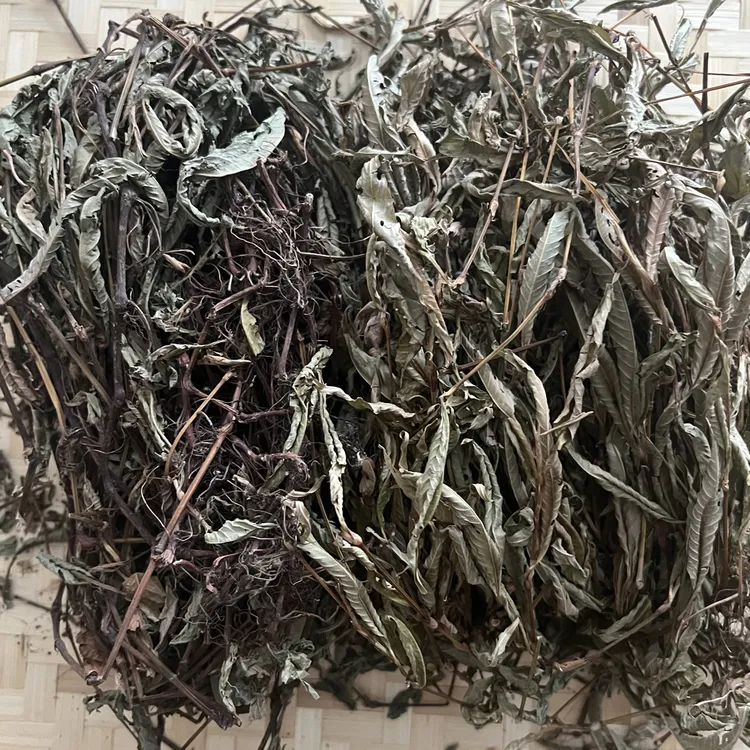 福建连城野生辣熟涮酒涮猪肝小肠专用香料