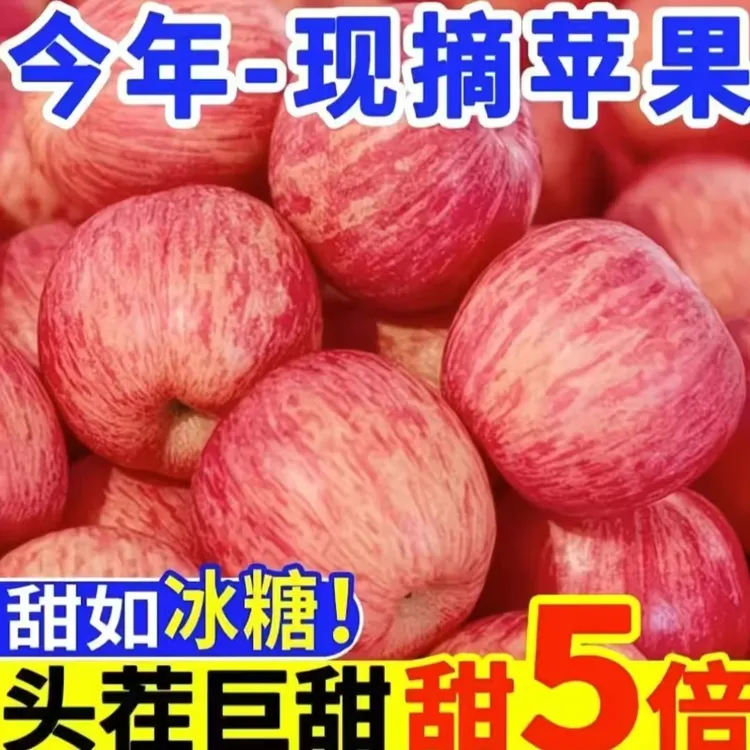 山西红富士苹果新鲜应季脆甜多汁水果