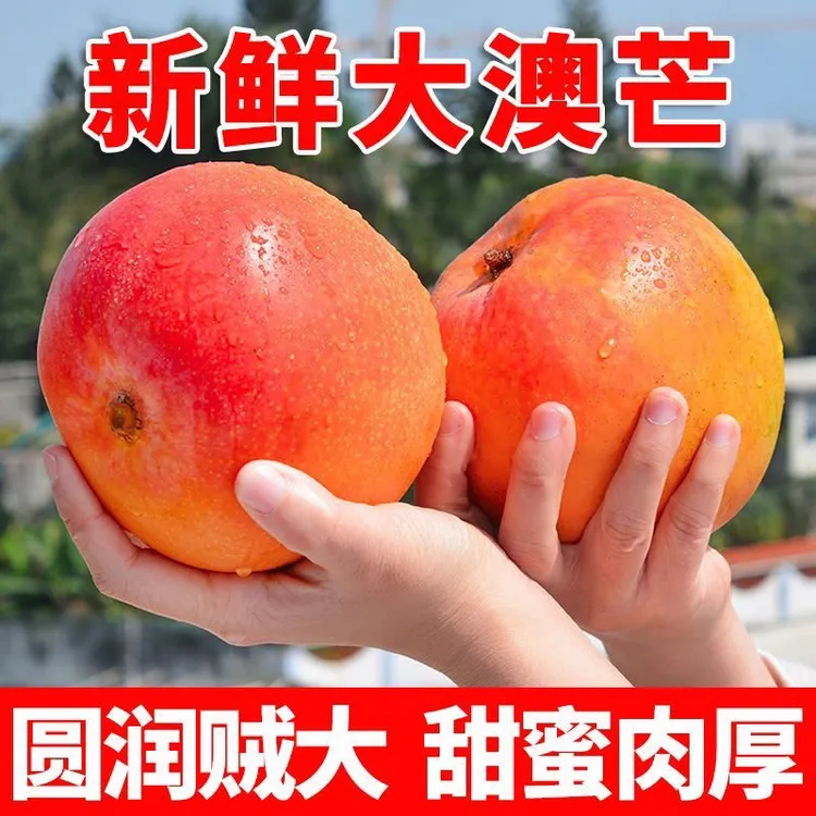 澳芒大果红芒苹果芒彩虹芒当季热带新鲜水果芒果一整箱礼盒非凯特