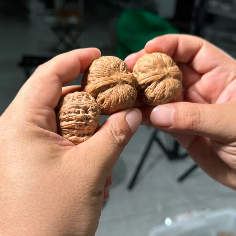 麻核桃把件楠哥粉丝福利 平谷元宝核桃 尺寸可选