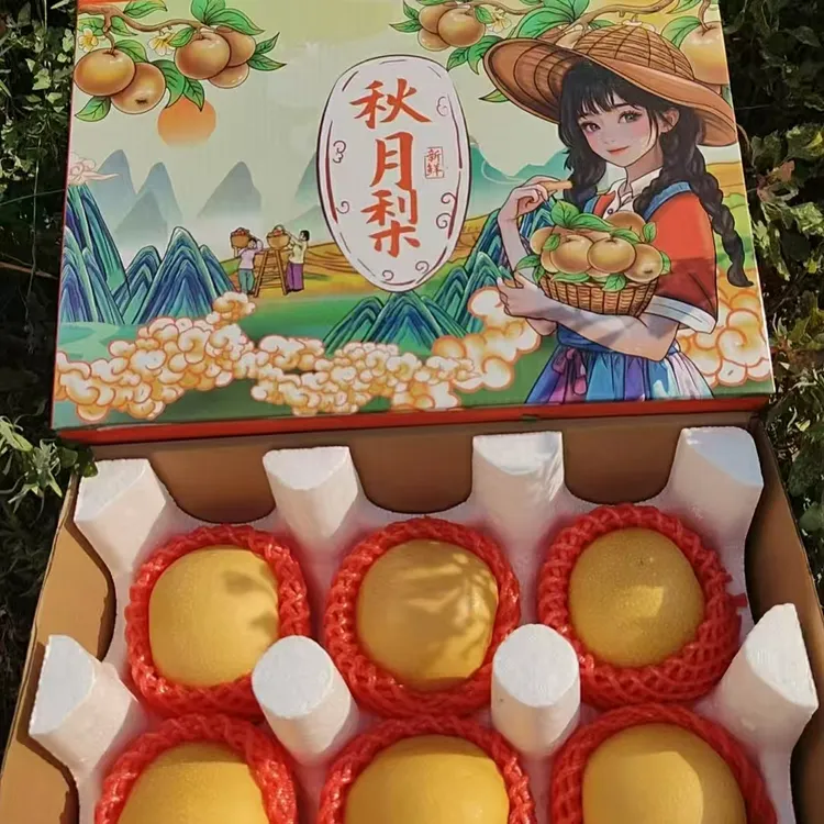 特大果秋月梨新鲜正宗山东秋月梨送礼现摘脆甜多汁当季新鲜水果