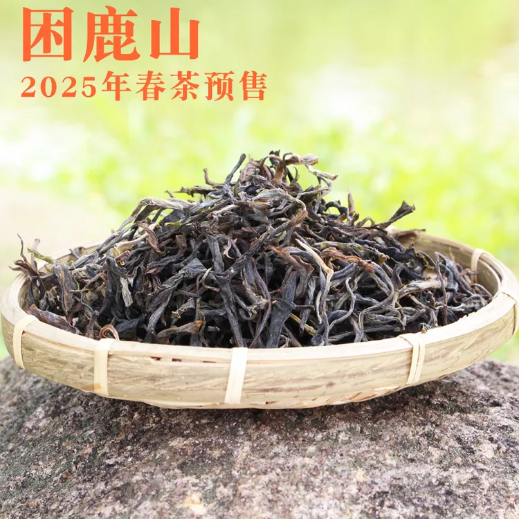 困鹿山困鹿山普洱茶2025年头春古树茶品鉴