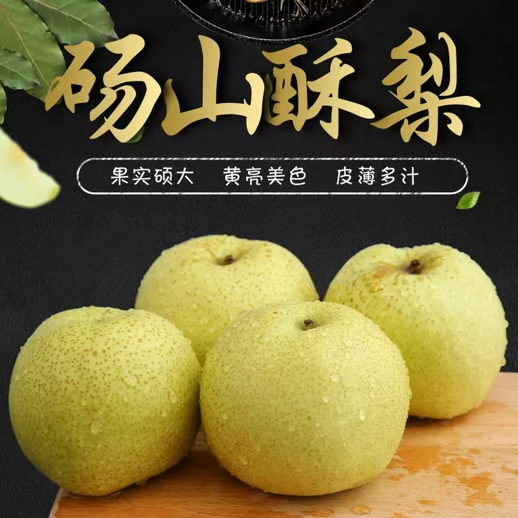 正宗砀山梨砀山酥梨当季水果脆甜爆汁皮薄多汁 原产地自家果园
