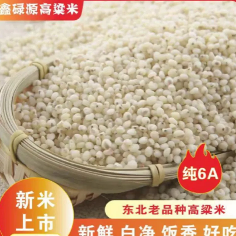 「粉丝福利」朝阳本地优质笨高粱米 1袋5斤