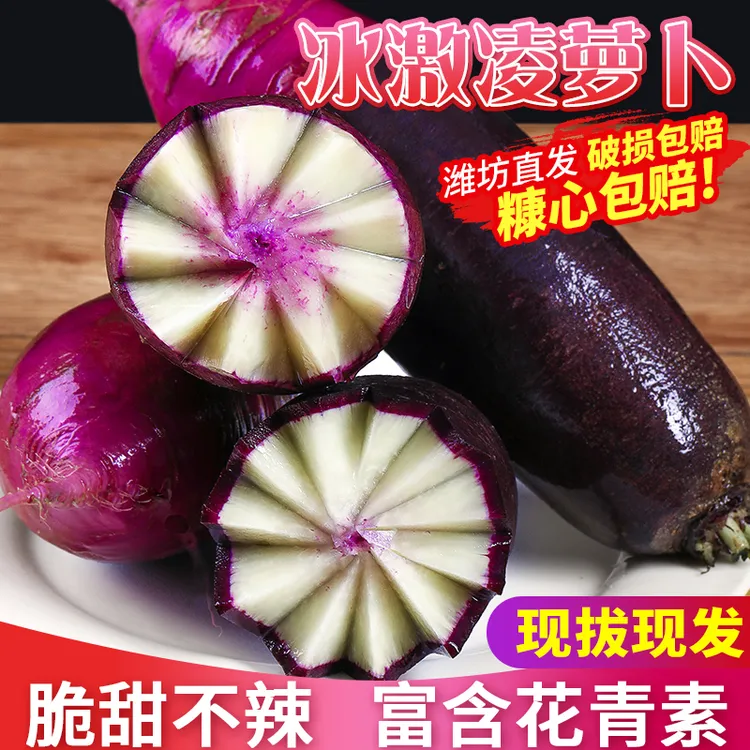 当季冰淇淋萝卜新鲜水果萝卜生吃不辣脆甜多汁山东潍坊沙窝萝卜
