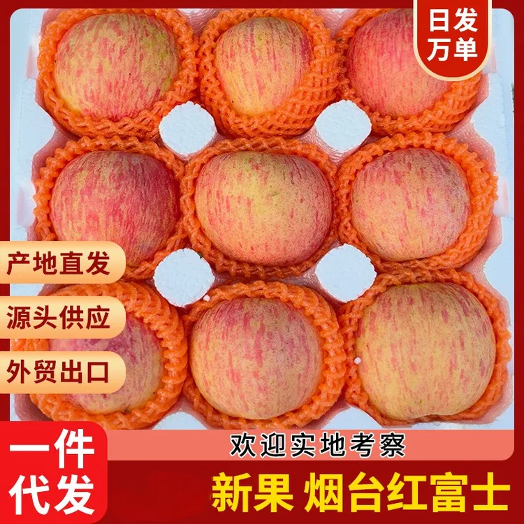 山东正宗烟台红富士大苹果新鲜苹果脆甜送礼团建公司福利佳品