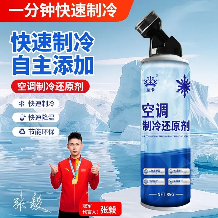 汽车空调正品制冷还原剂冷煤制冷剂雪种R22冰点清洗剂车用氟利昂