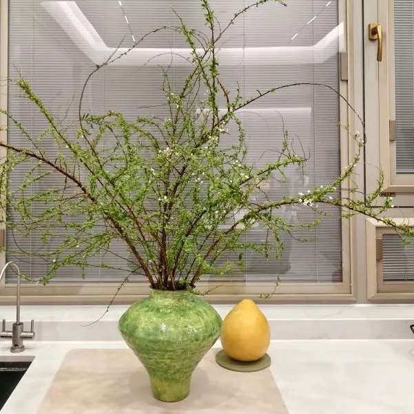 【云舍甄选】景德镇陶瓷花瓶 绿野仙踪雪柳花瓶玄关家居美学摆件