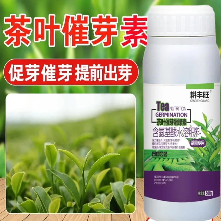 茶叶叶面肥茶叶催芽剂920催芽茶园促长剂生长素茶叶先锋茶树催芽