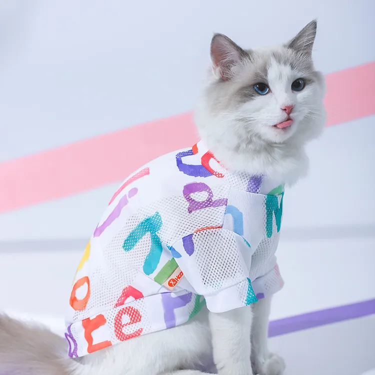 猫咪衣服防掉毛可爱背心蓝猫英短布偶春秋款幼猫小猫宠物春夏薄款