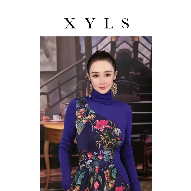 女装弹力连衣裙时尚T006963-1