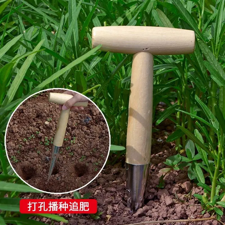 园艺播种打洞小工具种菜花籽追肥育苗多肉花盆移栽实木尖头打孔器