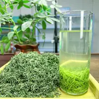 【雨前精选小嫩芽】2025毛尖 高山旱茶嫩芽 花香型绿茶