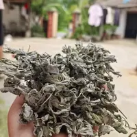 端午节干艾叶艾草泡脚包家用月子泡脚泡澡