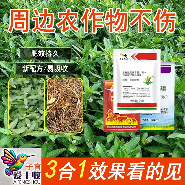 水花生专用水花生升级版套装有机质水溶肥料定向喷雾