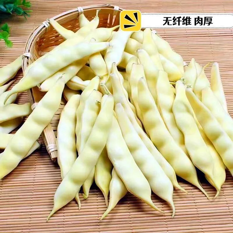 东北农家兔子翻白眼豆角