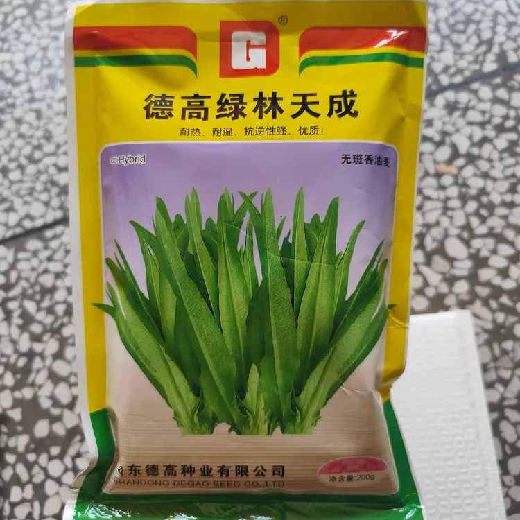 德高绿林天成香油麦种子叶披针形淡绿色 叶色嫩绿 叶面平展光滑