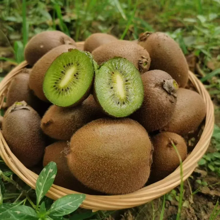 陕西翠香周至绿心翠香猕猴桃新鲜水果当季正宗奇异果香甜多汁