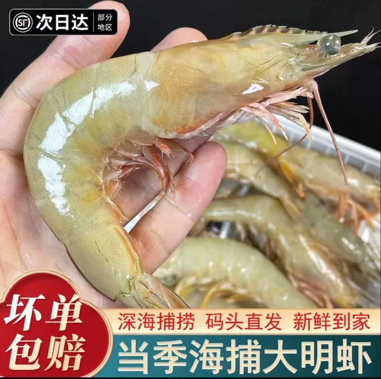 【北部湾海域】 野生明虾 白对虾 金钩虾 速冻冷链顺丰包邮发货