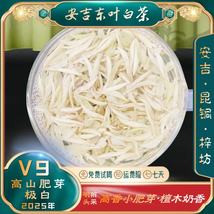 【招牌肥芽极白V9】2025新茶特级正宗安吉白茶昆铜高山新安四号浓香