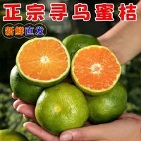 江西赣南寻乌蜜橘现摘无籽青皮蜜橘新鲜应季水果3/5斤