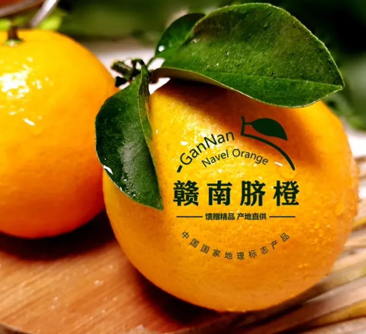 【带枝发原生态正宗赣南脐橙】香甜爆汁现摘现发10斤彩装箱送剥橙器