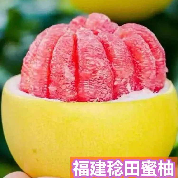 福建上杭稔田镇红肉蜜柚现摘薄皮爆汁甜润水果，产地直发，现摘现发