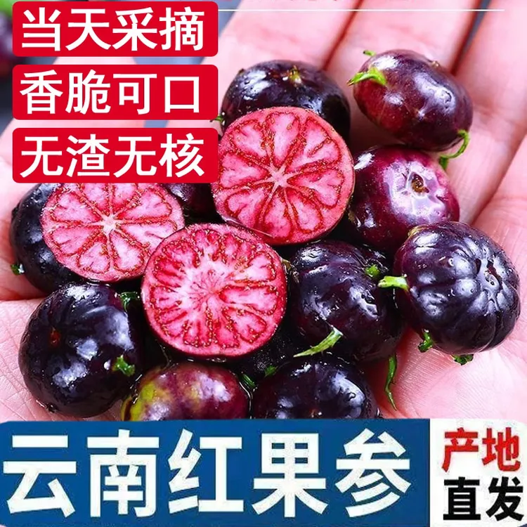 【顺丰发货】云南红果参500g现摘现发蜘蛛果750g算盘果1000g包邮