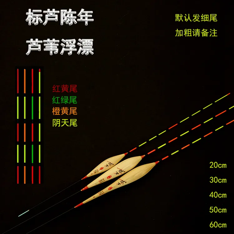 标芦加长60公分芦苇浮漂流氓漂黑坑鲫鲤大物浮漂高灵敏醒目尾鱼漂