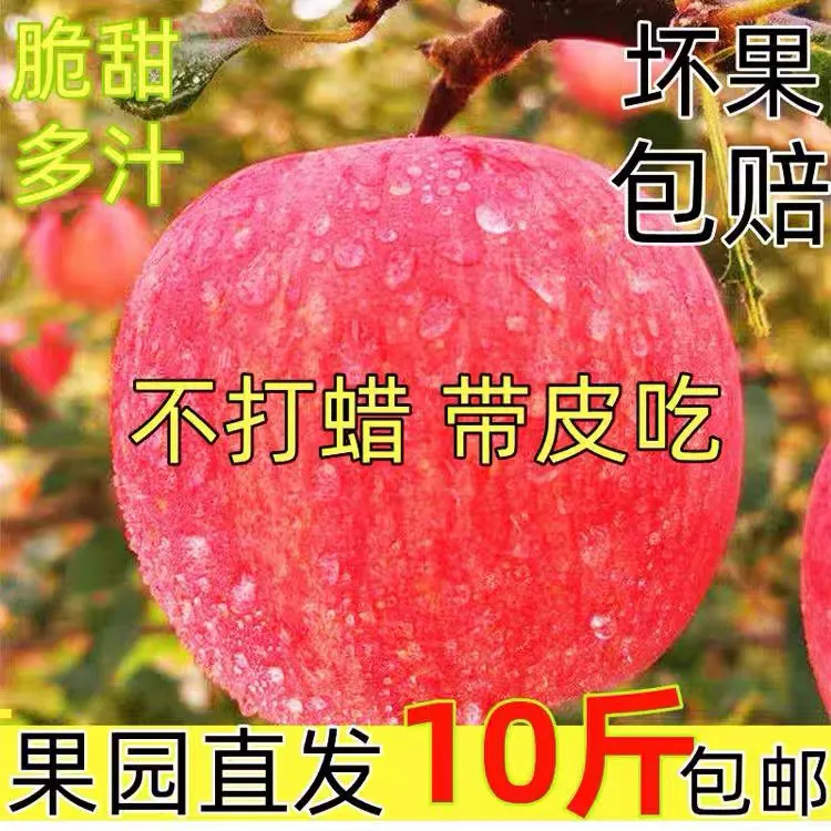 产地直发新鲜红富士苹果脆甜多汁皮薄爽口当季水果