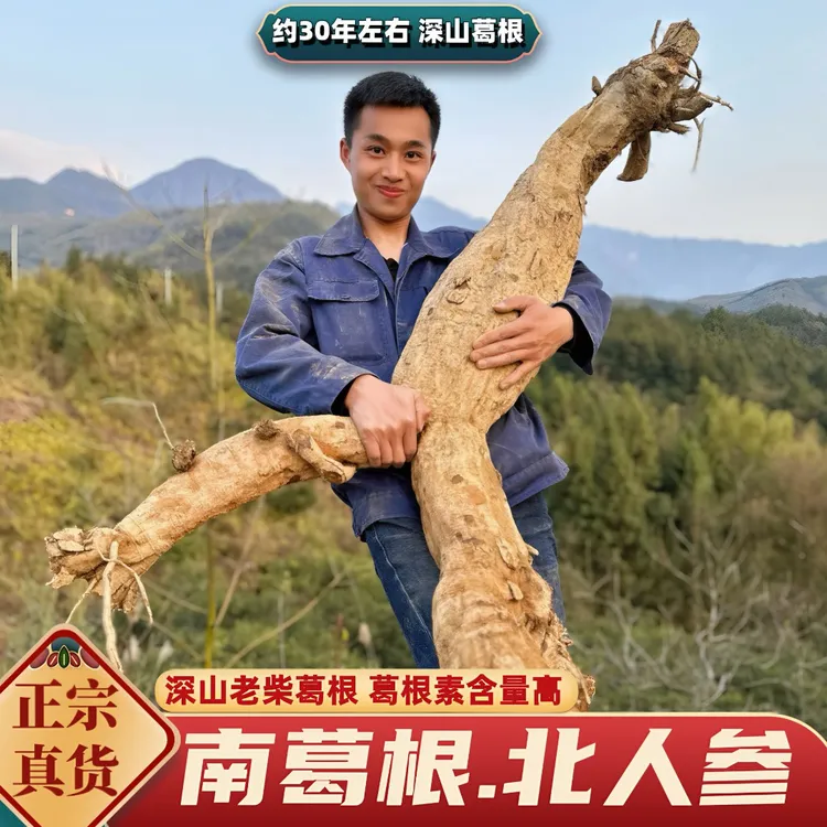 【正宗柴葛根粉】甄选深山老柴葛传统古法制作纯正葛粉营养美味代餐