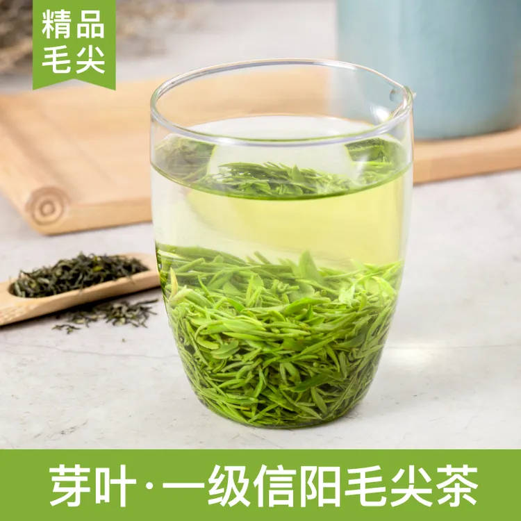 【芽叶·精品信阳毛尖】2025新茶春茶 雨前一级毛尖茶浓香耐泡绿茶