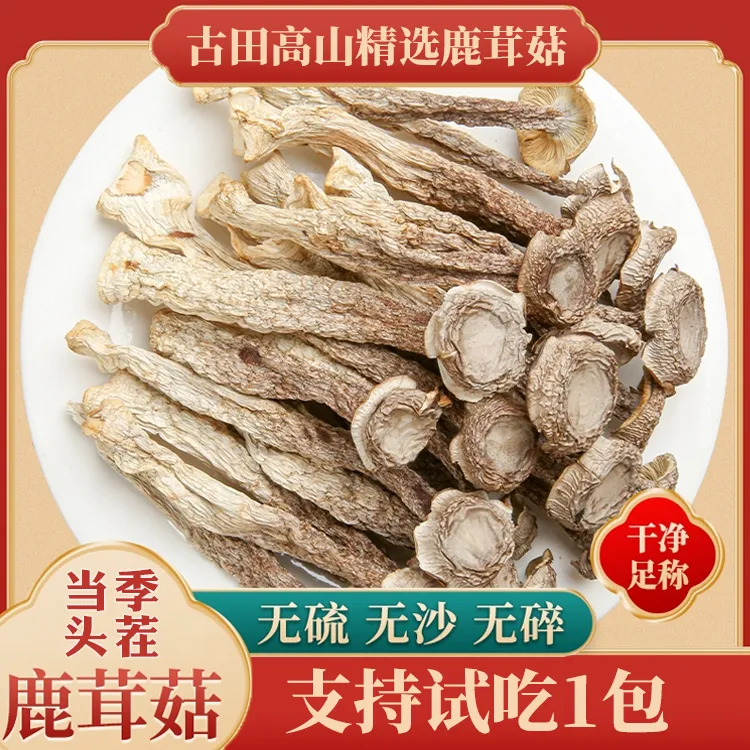 豪媳妇(高山鹿茸菇)高山种植鹿茸菇优质干货鲜香脆嫩
