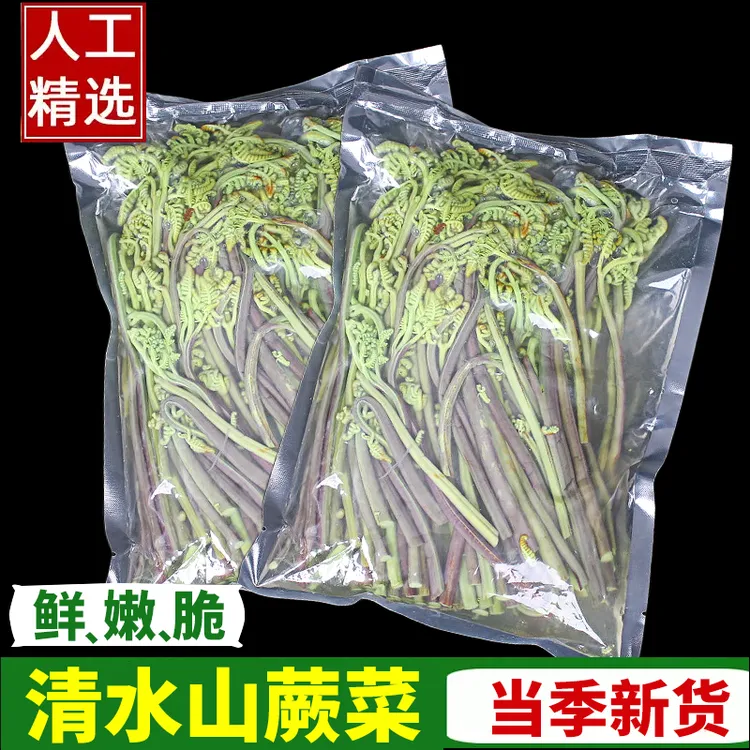 新鲜嫩蕨菜厥菜酒店饭店火锅串串凉拌食材野菜撅菜商用火锅食材