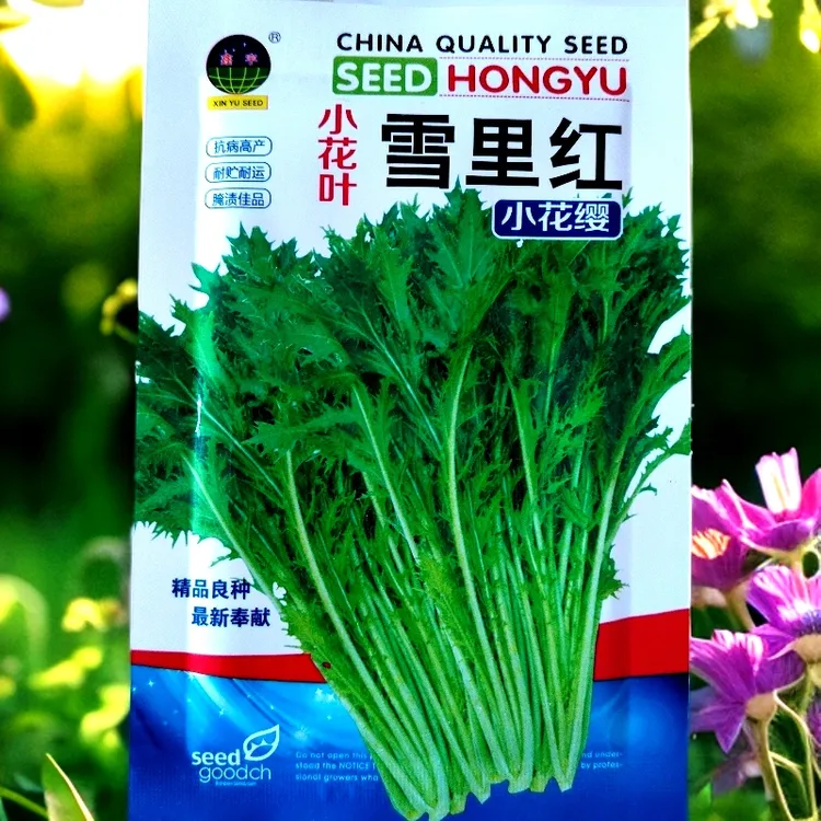 雪里红嘎嘎嫩种子