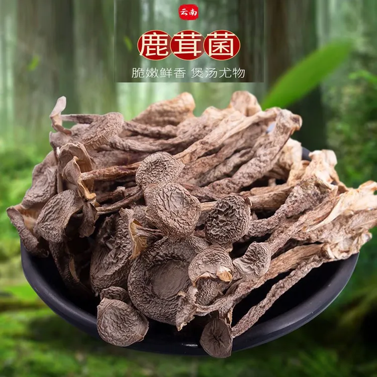 云南A+级鹿茸菇干货特产级鹿茸菌食用菌香菇脆脆菇煲汤炖汤炒菜
