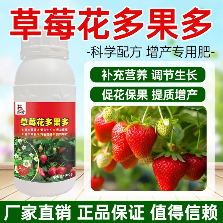 草莓发芽分化保花保果膨果转色增甜增产专用水溶肥料正品厂家直销