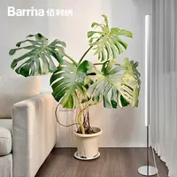 Barrina全光谱落地侧发光植物补光灯仿太阳防眩热植绿植生长灯