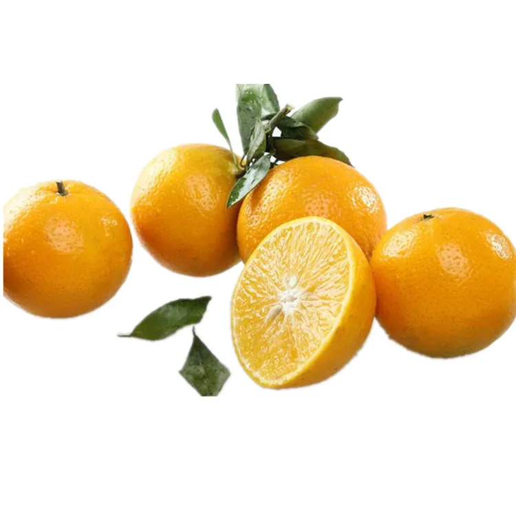 正宗德庆皇帝柑贡柑原产地现摘现发5斤9斤一整箱青皮橘子橙中小果