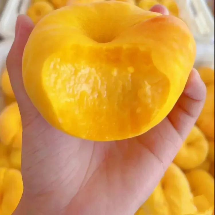 脆甜正宗黄金油蟠桃彩虹蜜桃新鲜蒙阴蟠桃油桃水果时令孕妇水果