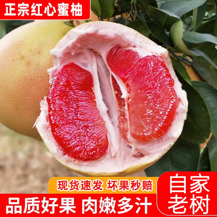  【琯溪蜜柚】  平和红蜜柚 新鲜柚子采摘爽口当季水果通
