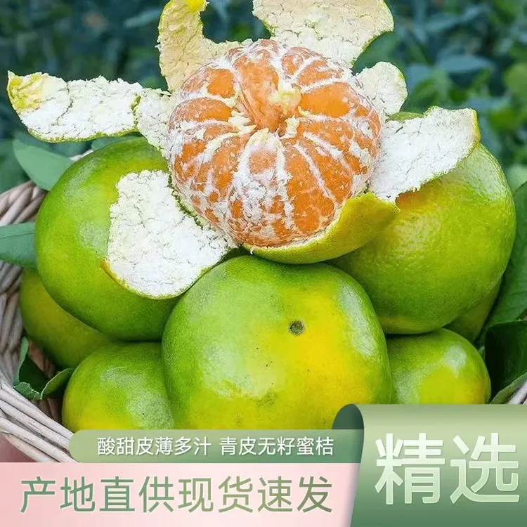 正宗石门酸甜薄皮蜜橘新鲜孕妇水果无核省心实用皮薄多汁产地直发