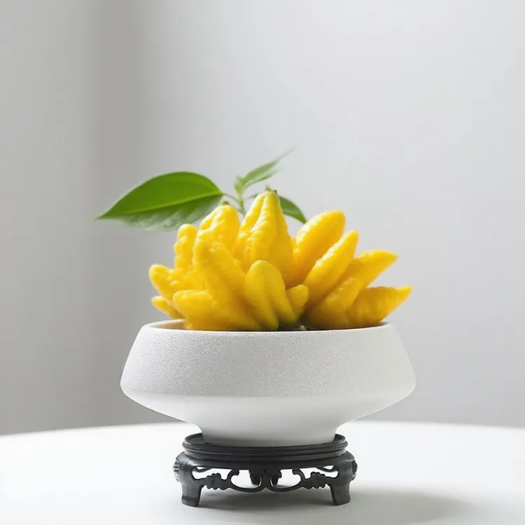 剑山佛手柑托盘中式复古无孔米竹水培苔藓球蕨类花盆果盘点心盘