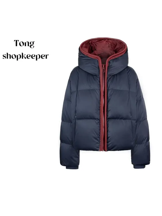 QJ/彤掌柜1682871 冬季2025极寒95白鹅绒线条撞色连帽设计羽绒服