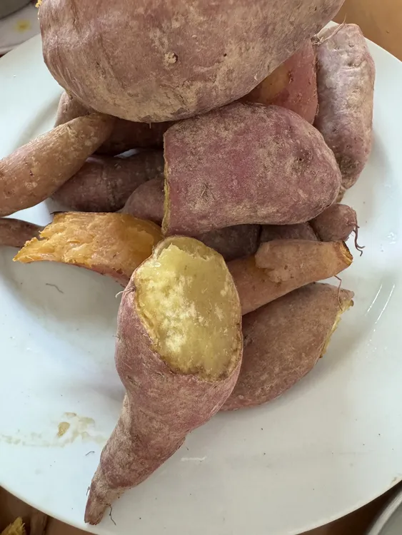 现挖现发广东阳春农家黄心番薯粉糯香甜 鸡蛋黄板栗爆皮王番薯