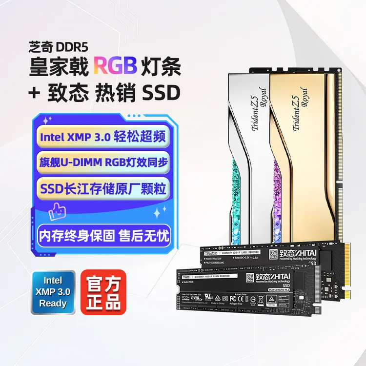 G.SKILL/芝奇皇家戟XMP DDR5内存条RGB灯条 台式组装电脑硬盘致态