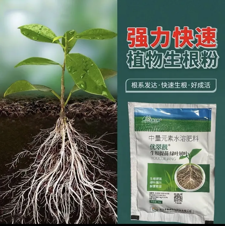 【拍一发二】叶绿提苗壮棵生根光合作用增绿增厚中量元素水溶肥