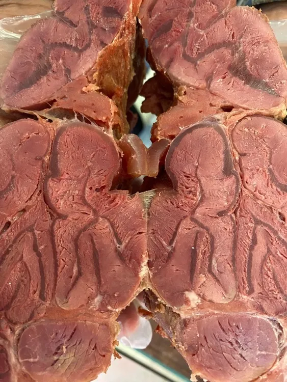 【满筋五香牛腱】太康马头牛肉 传统地锅牛肉 牛腱子